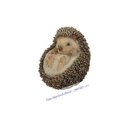 Hi-Line Gift Ltd Hedgehog on Back Statue