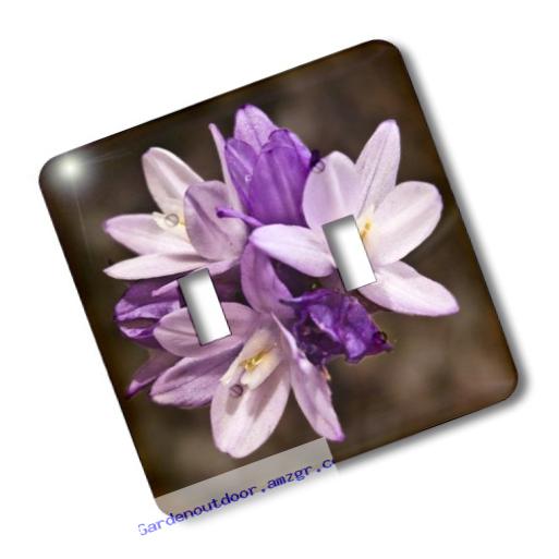 3dRose LLC lsp_32339_2 Decorative Colorful Garden Botanic Classic Plant Purple Flower - Double Toggle Switch