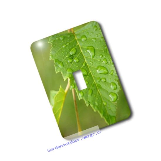 3dRose lsp_27260_1 Plants Leaves Rain Green Light Switch Cover