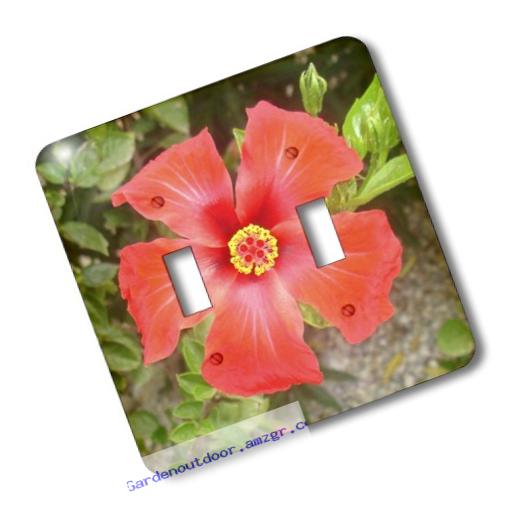 3dRose LLC lsp_46819_2 Tropical Hibiscus, Bunga Raya, Flower, Flowers, Hibiscus, Hibiscus Rosa Sinensis, Plant, Plants, Double Toggle Switch