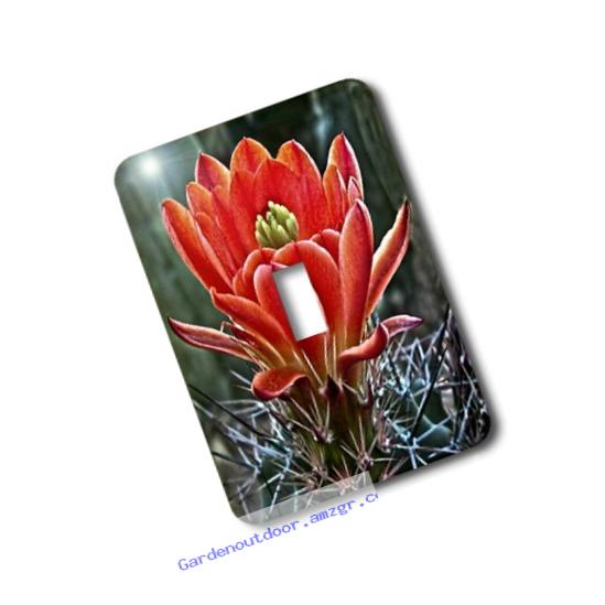 3dRose LLC lsp_32341_1 Decorative Colorful Garden Botanic Classic Plant Sw Southwest Desert Cactus Red Flower Single Toggle Switch