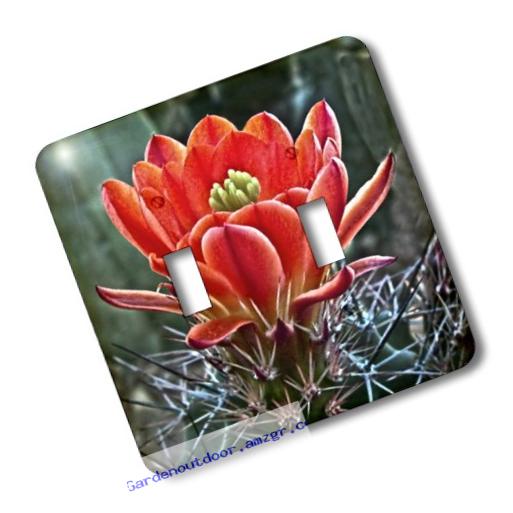 3dRose LLC lsp_32341_2 Decorative Colorful Garden Botanic Classic Plant Sw Southwest Desert Cactus Red Flower Double Toggle Switch
