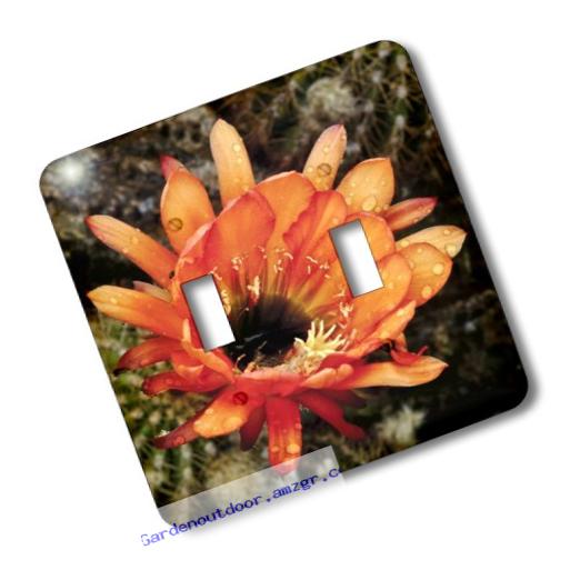 3dRose lsp_32390_2 Decorative Colorful Garden Botanic Classic Plant Sw Southwest Desert Cactus Red Orange Rain Flower Double Toggle Switch